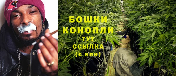 прущие грибы Богородицк