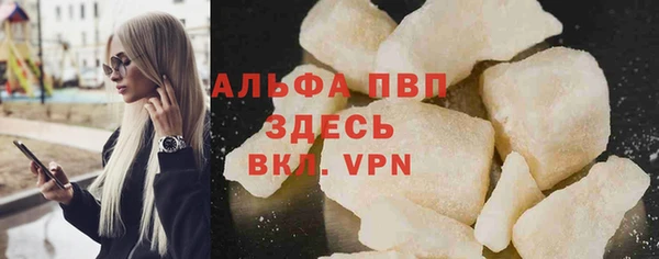 прущие грибы Богородицк
