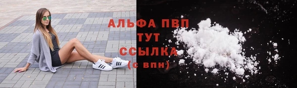 прущие грибы Богородицк