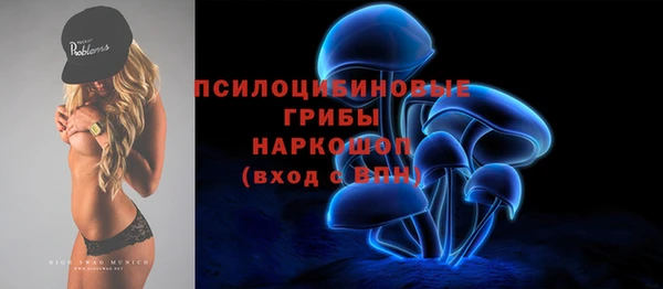шишки Богородск