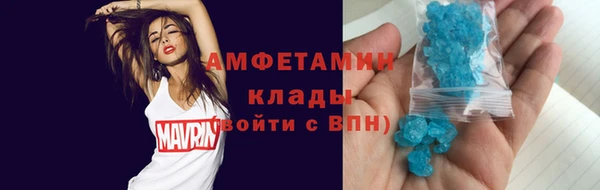 прущие грибы Богородицк