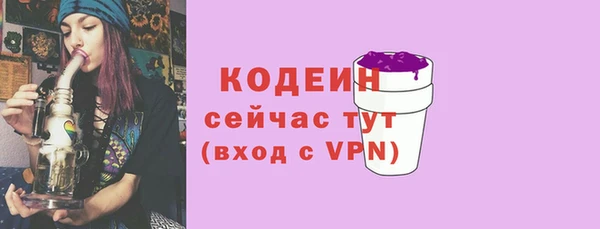 шишки Богородск