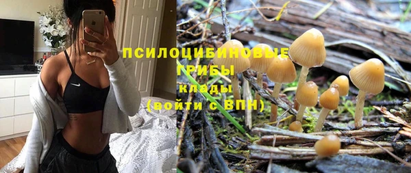 шишки Богородск