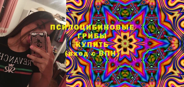 шишки Богородск