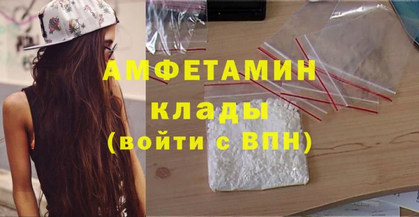 шишки Богородск