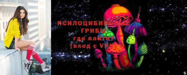 шишки Богородск