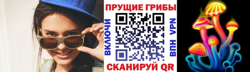 Псилоцибиновые грибы Cubensis  Горячий Ключ 