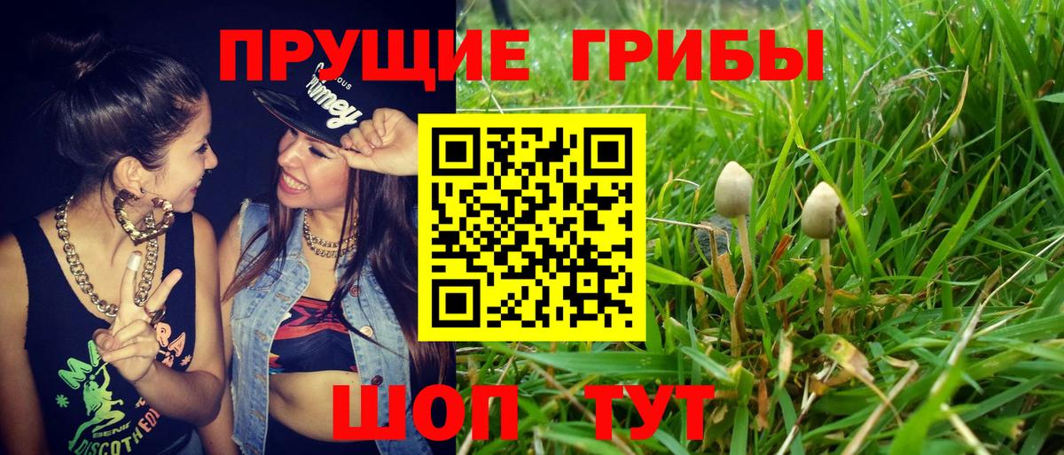 Псилоцибиновые грибы прущие грибы  Горячий Ключ 