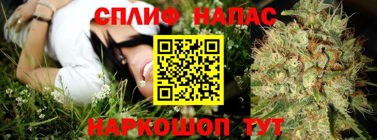 Шишки марихуана план  Канабис LSD WEED  Горячий Ключ  Канабис ГИДРОПОН 